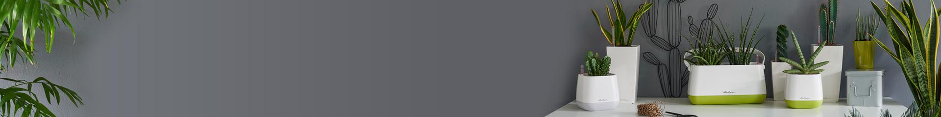 le_tw-uebersicht_banner